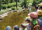 785e8726-a296-4881-9d54-9255b41c5fd4