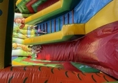 image5 (2)