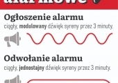 sygnayalarmowe-1792053738